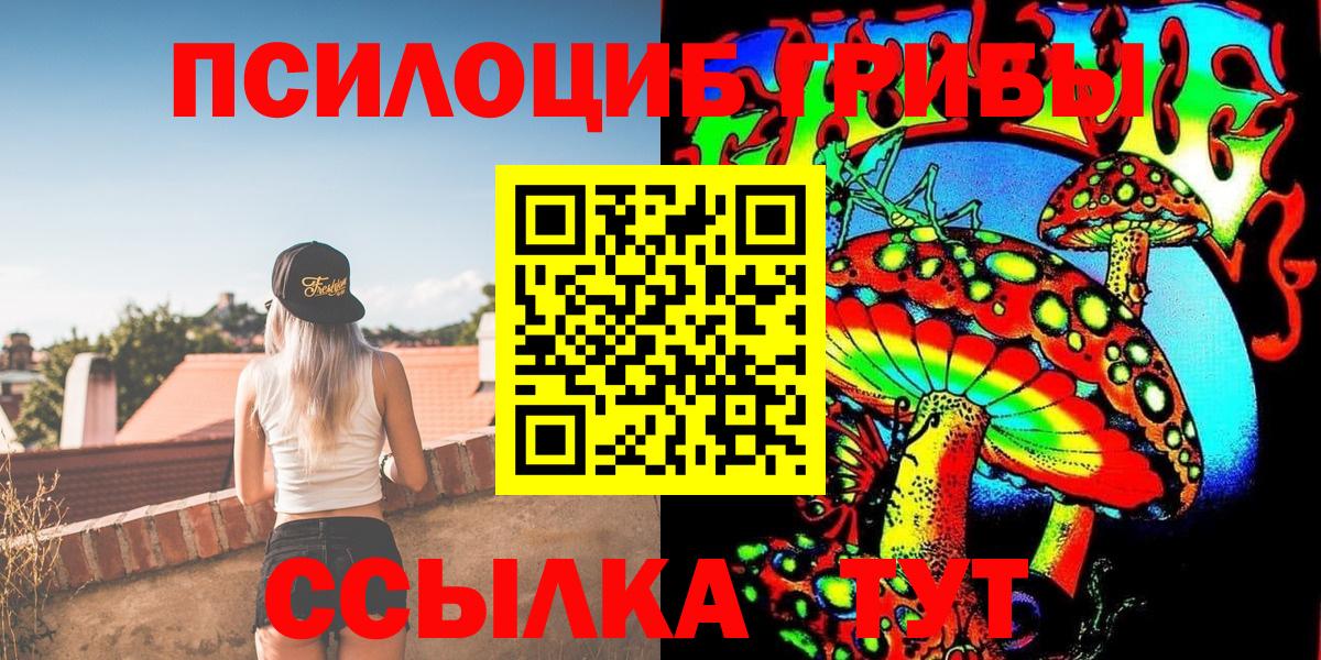 Галлюциногенные грибы MAGIC MUSHROOMS  Галлюциногенные грибы Psilocybine cubensis  Избербаш  Вход с VPN 